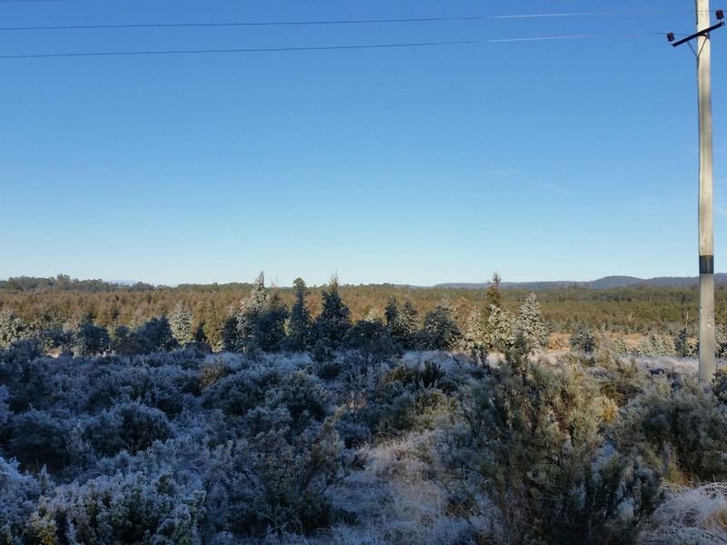 1734 Fourteen Mile Road BRONTE PARK 21