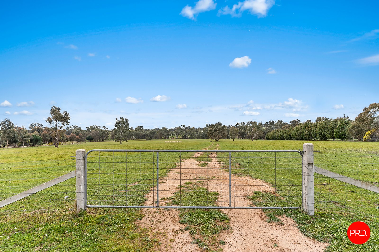 174 Sunrise Crescent LOCKWOOD SOUTH 3