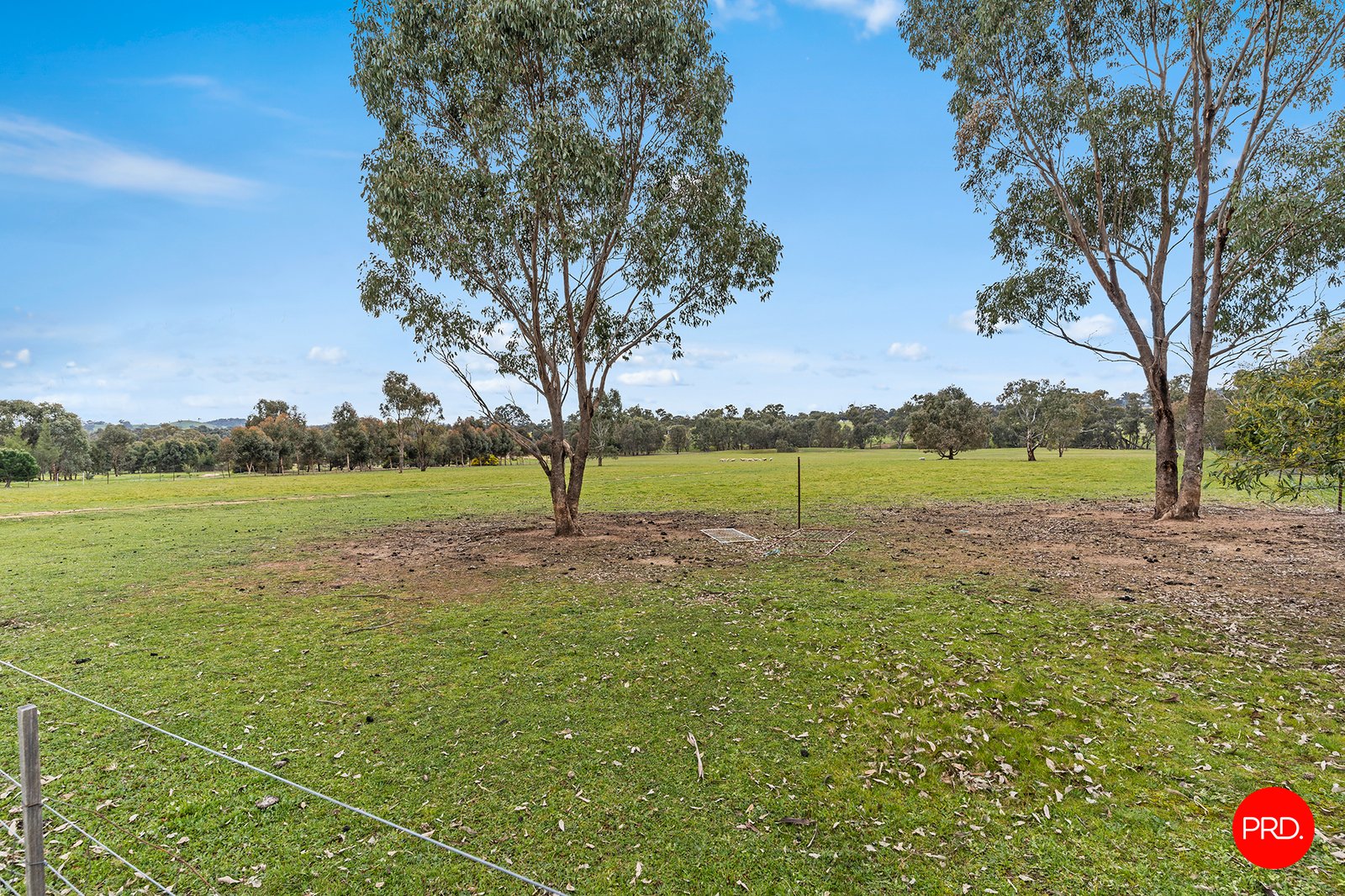 174 Sunrise Crescent LOCKWOOD SOUTH 4