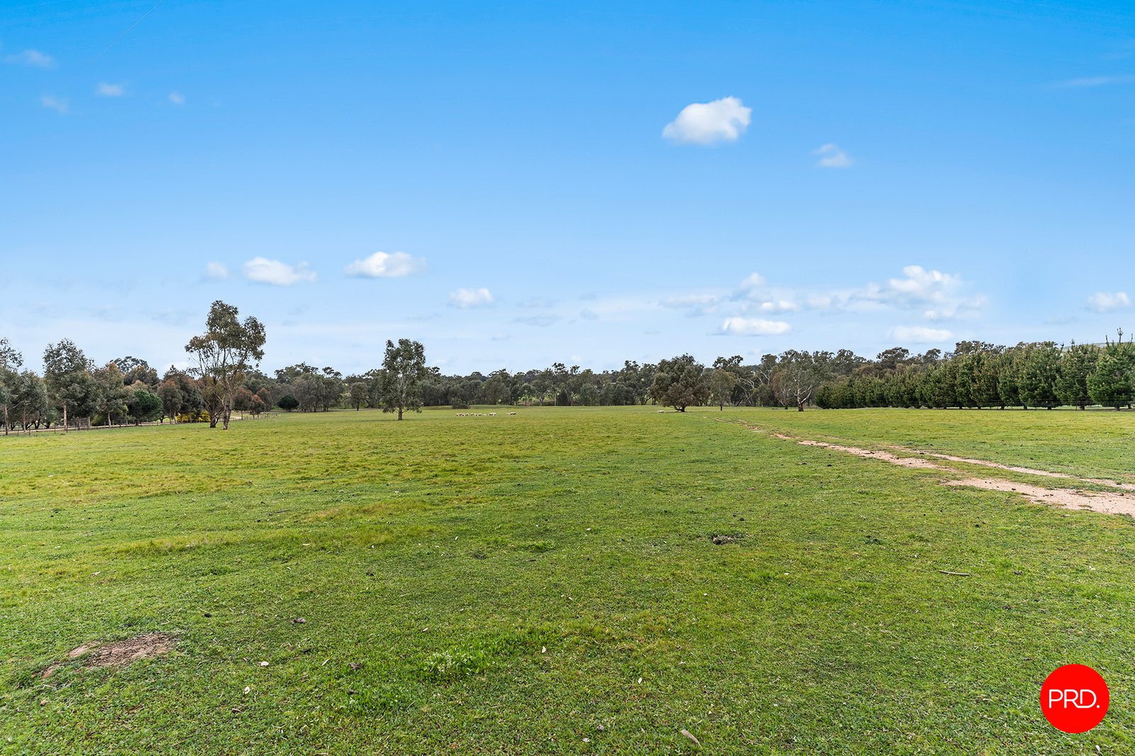 174 Sunrise Crescent LOCKWOOD SOUTH 5