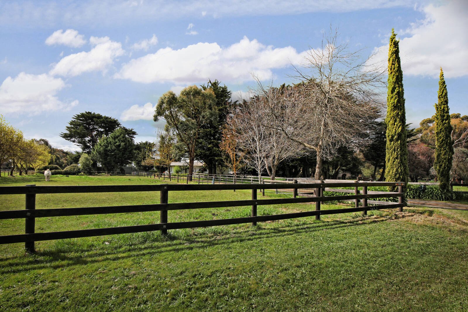 Real Estate and Property in 1749 Romsey Road, Romsey, VIC