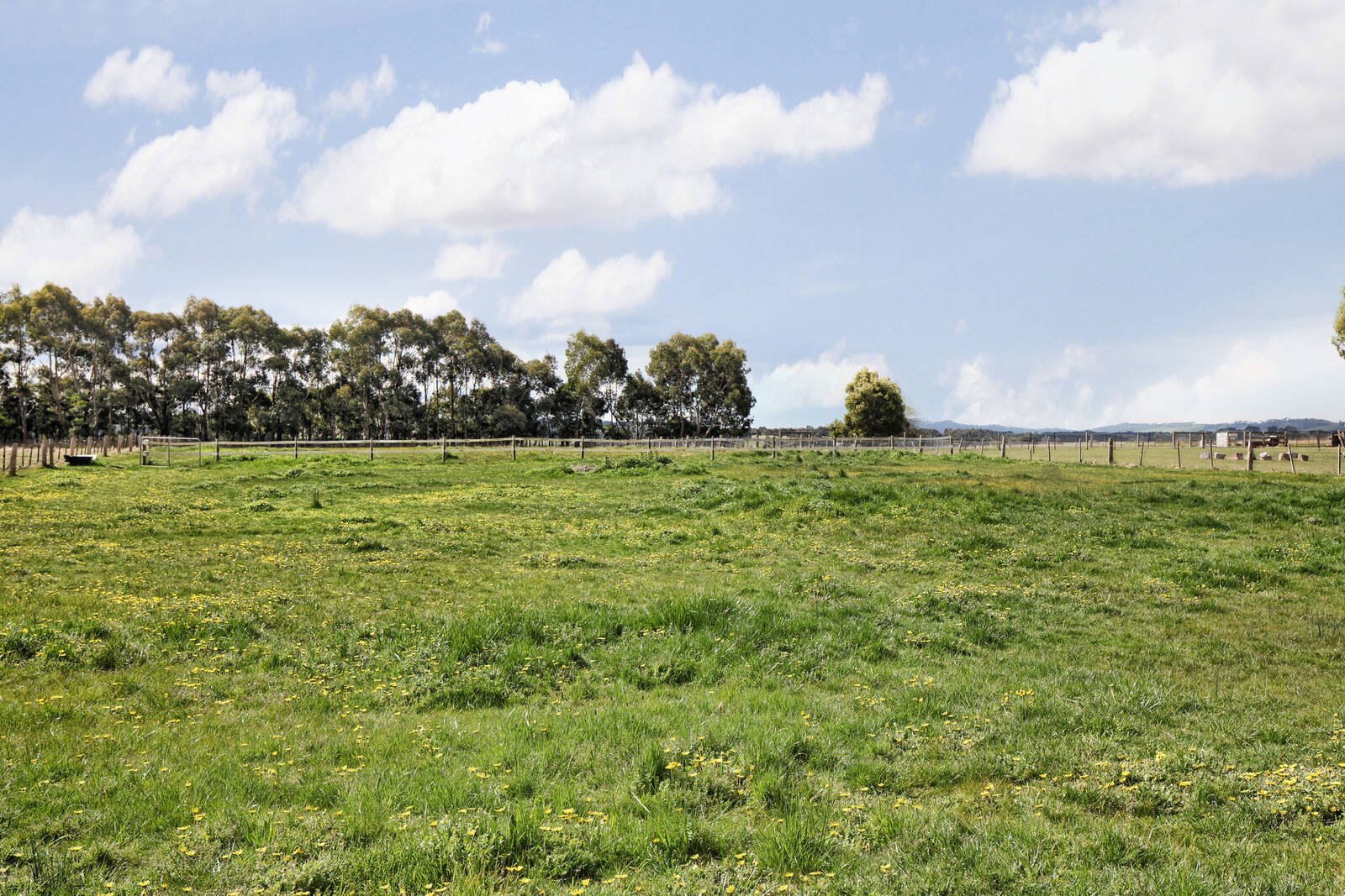 Real Estate and Property in 1749 Romsey Road, Romsey, VIC