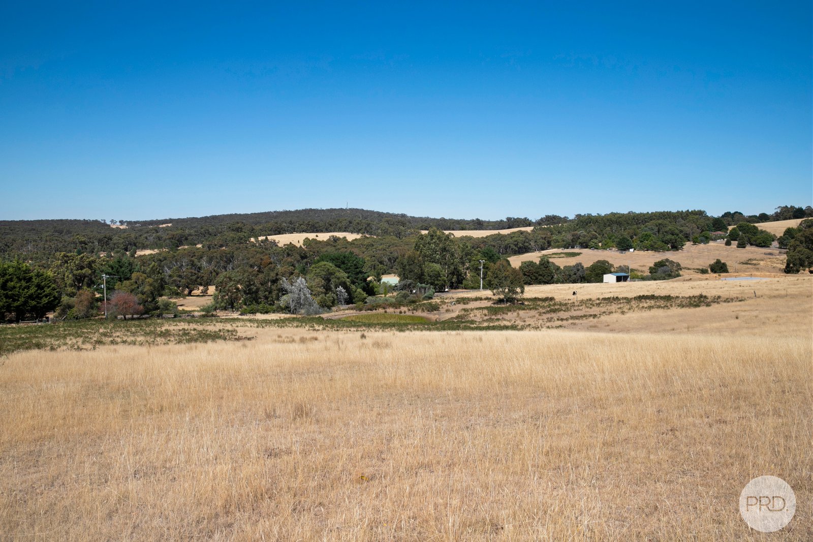 175 Bryants Road LINTON 12