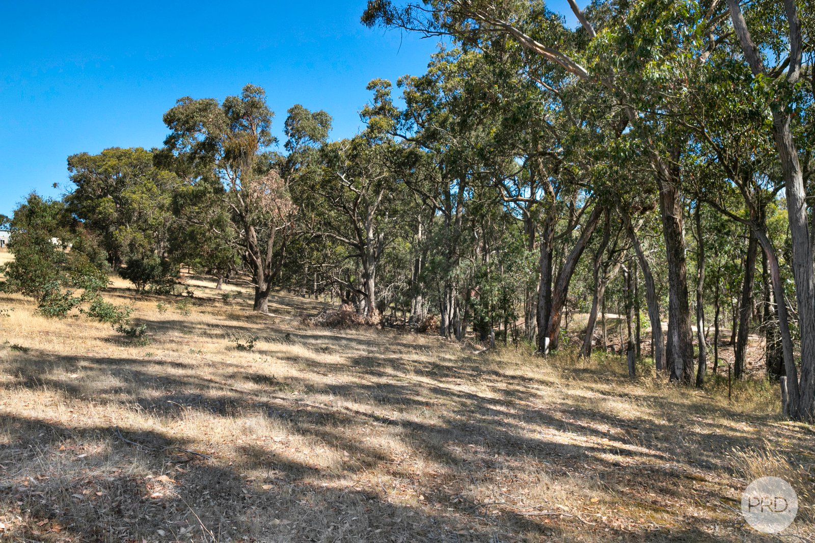 175 Bryants Road LINTON 13