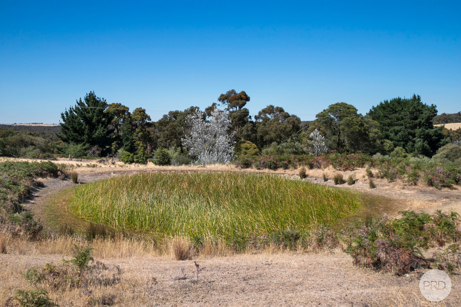 175 Bryants Road LINTON 14