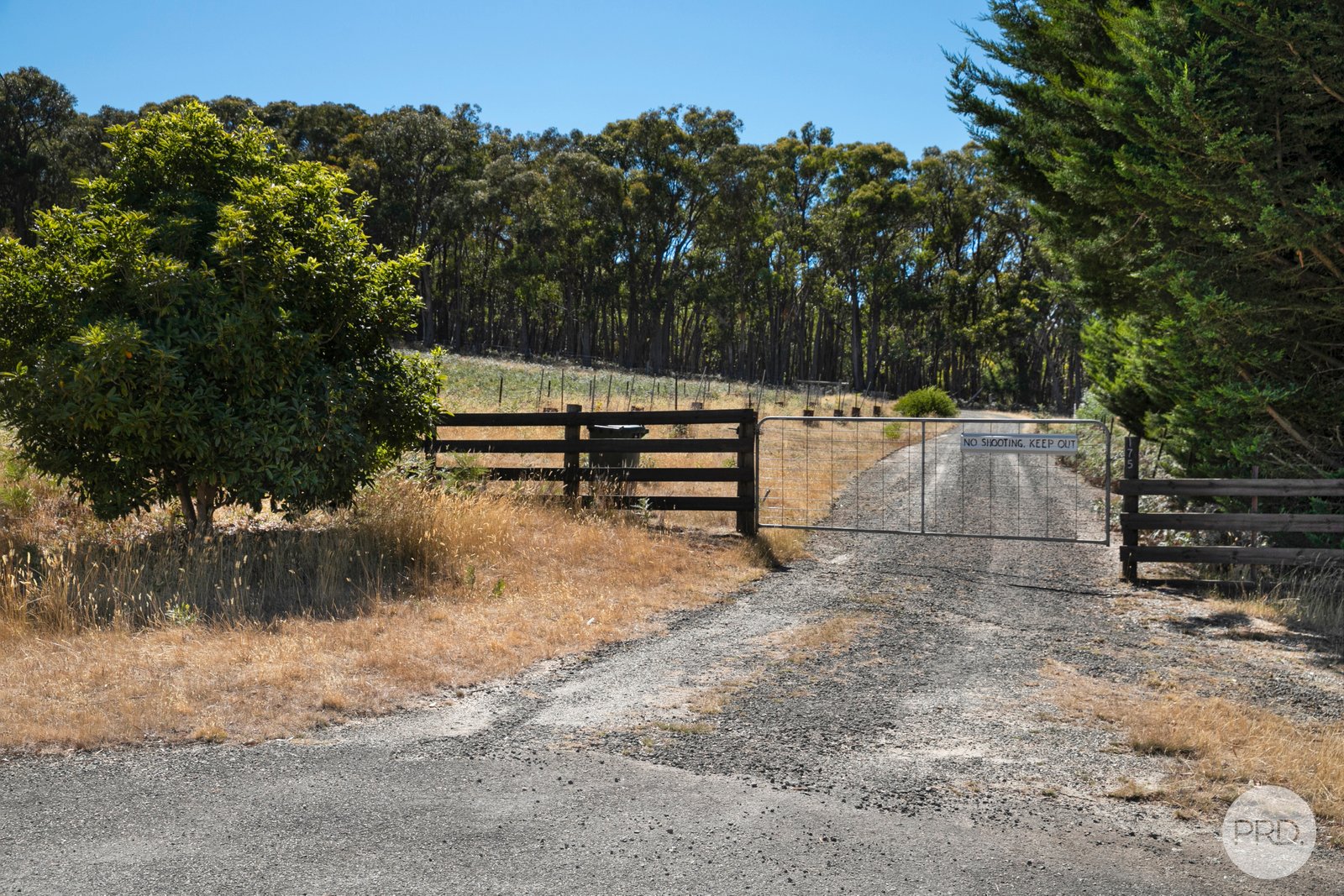 175 Bryants Road LINTON 15