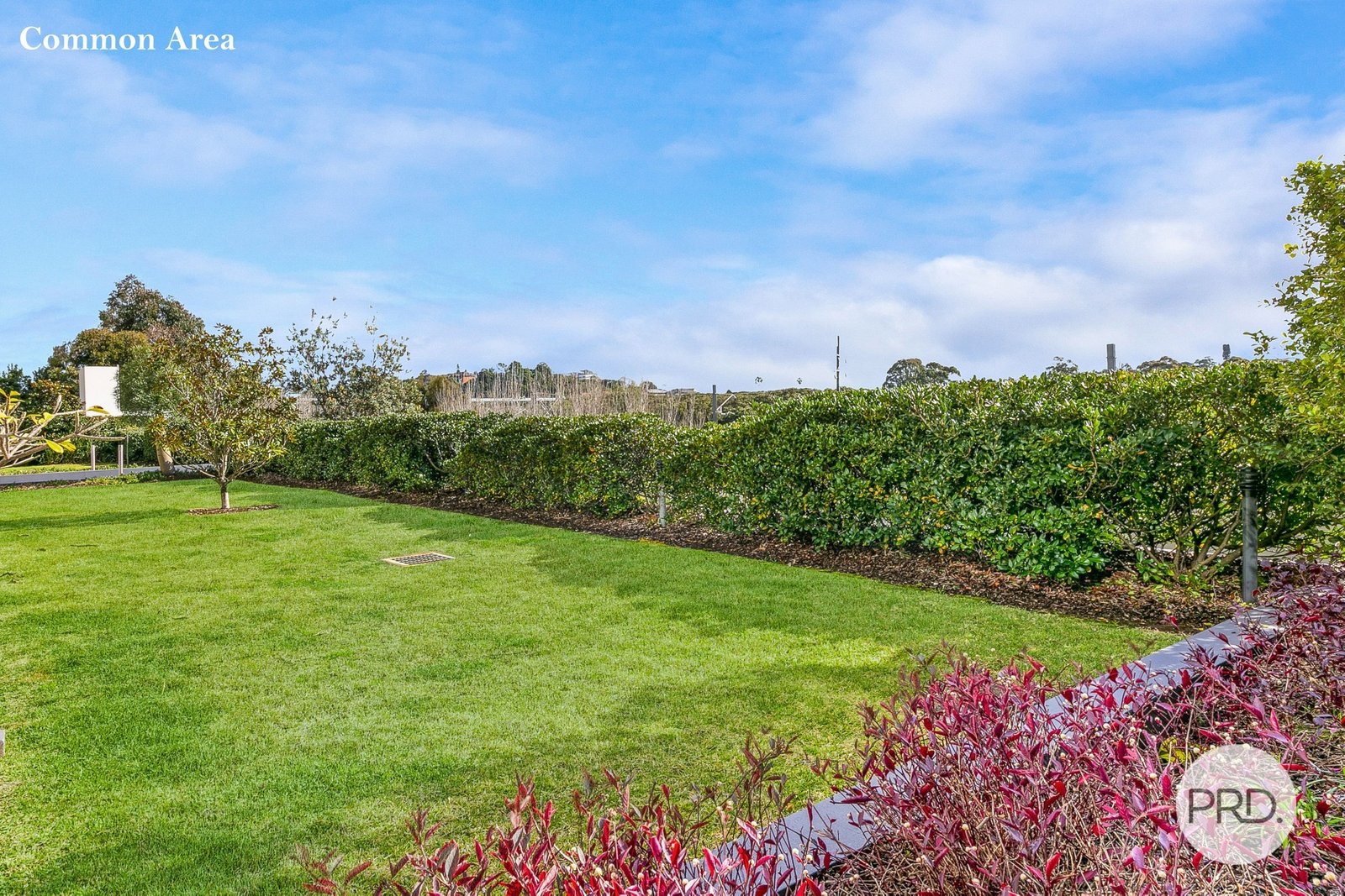 17/5 Lusty Street WOLLI CREEK 9