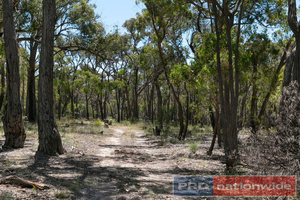 175 Moffats Road DEREEL 14