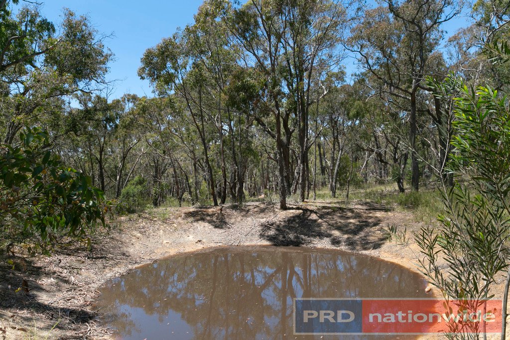 175 Moffats Road DEREEL 15