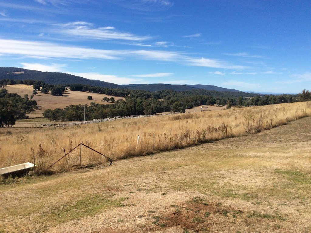 175 Willigobung Rd  TUMBARUMBA 4