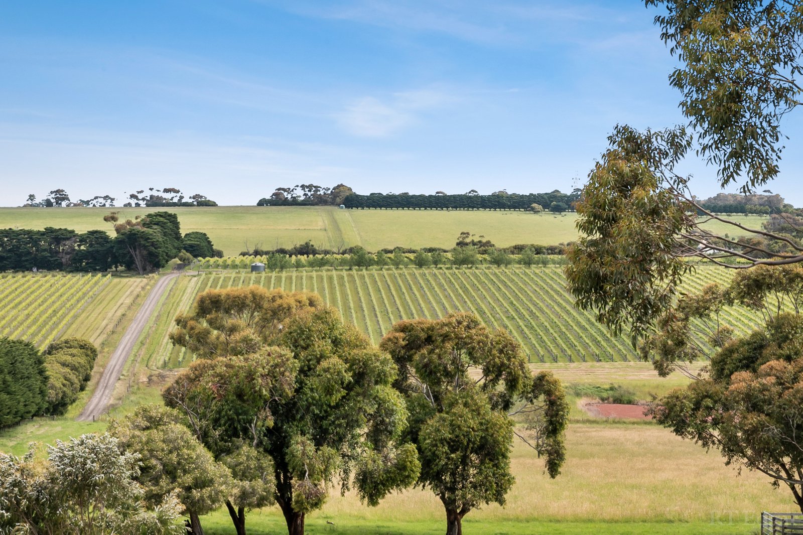 Real Estate and Property in 176 Scotchmans Road, Drysdale, VIC