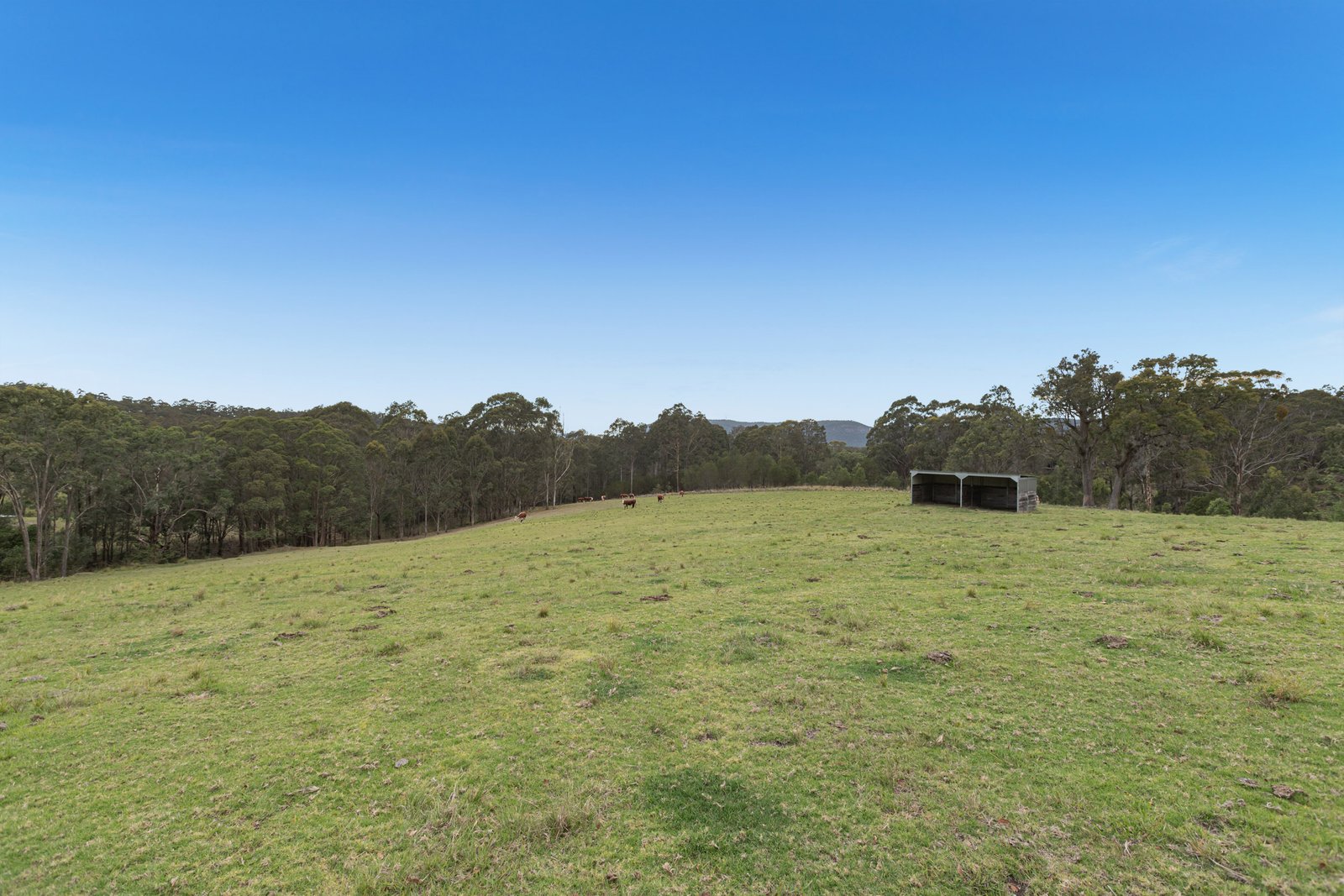 176 Wollong Road QUORROBOLONG 16