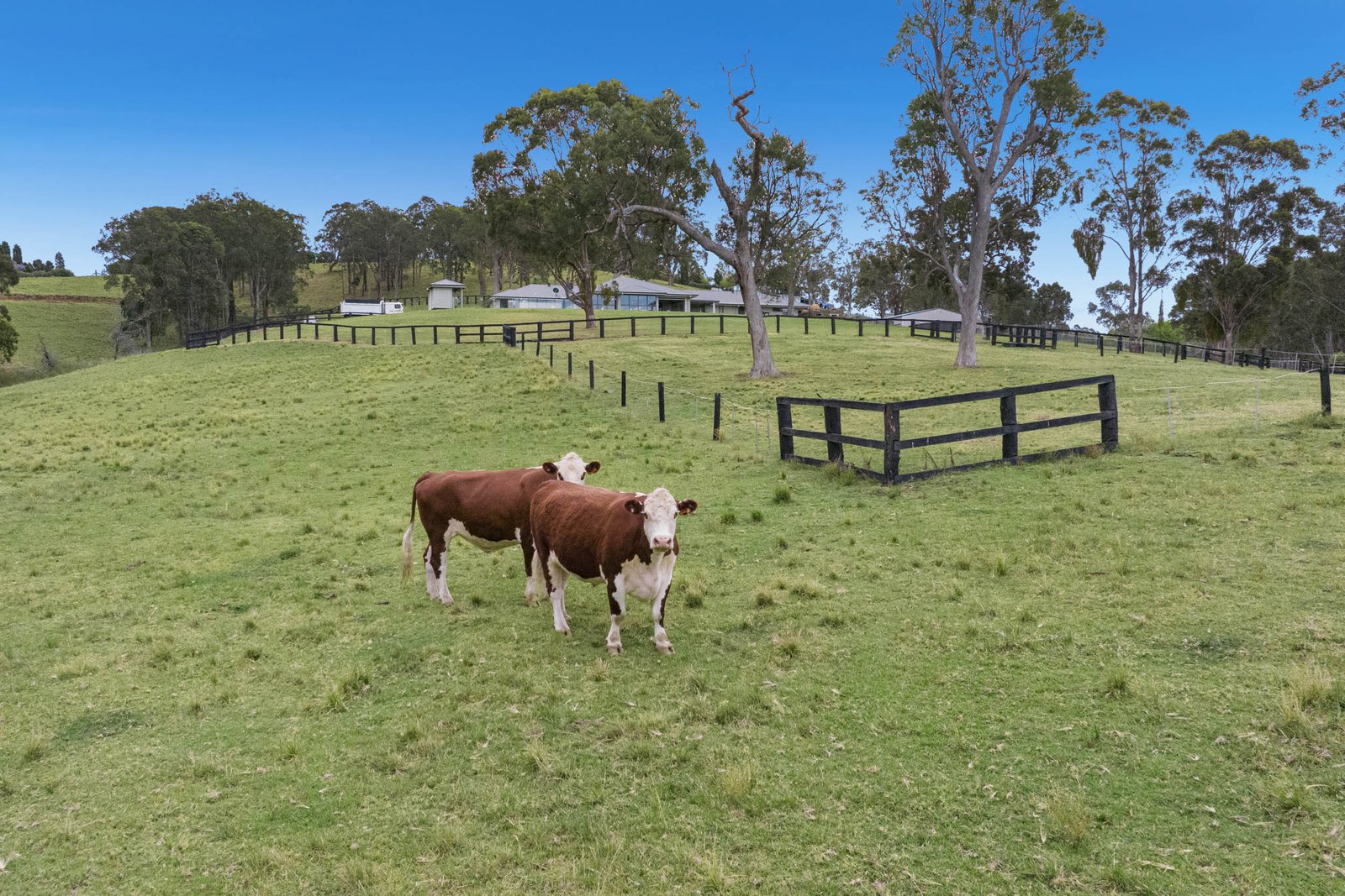 176 Wollong Road QUORROBOLONG 32