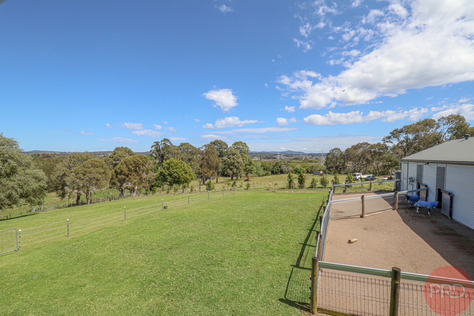 176A Marsden Street SHORTLAND 23