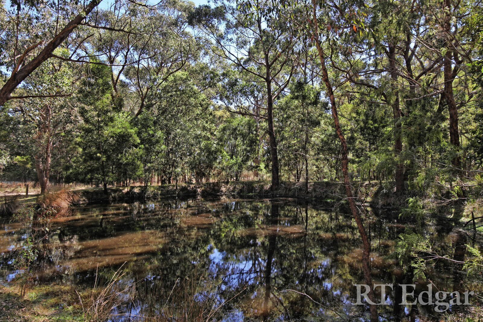 Real Estate and Property in 177 Chambers Road, Woodend, VIC