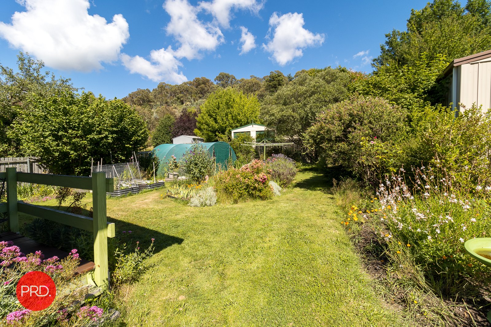 177 Foxlow Street CAPTAINS FLAT 17