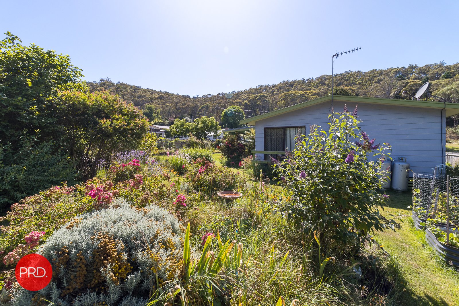 177 Foxlow Street CAPTAINS FLAT 18