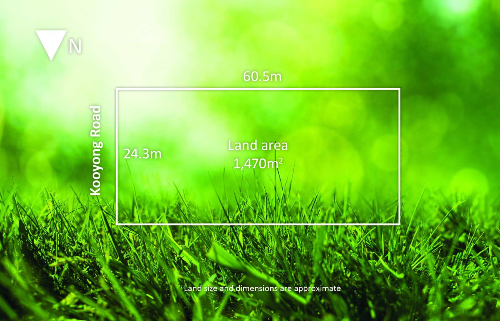 Real Estate and Property in 177 Kooyong Road, Toorak, VIC