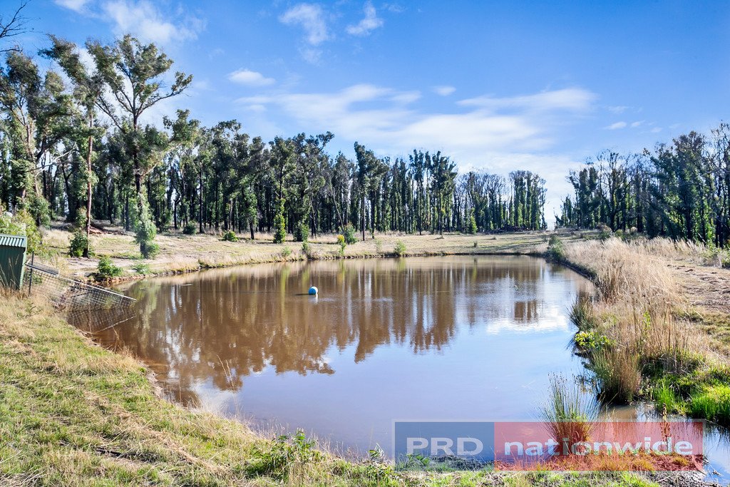 177 Rosenow Road DURHAM LEAD 16