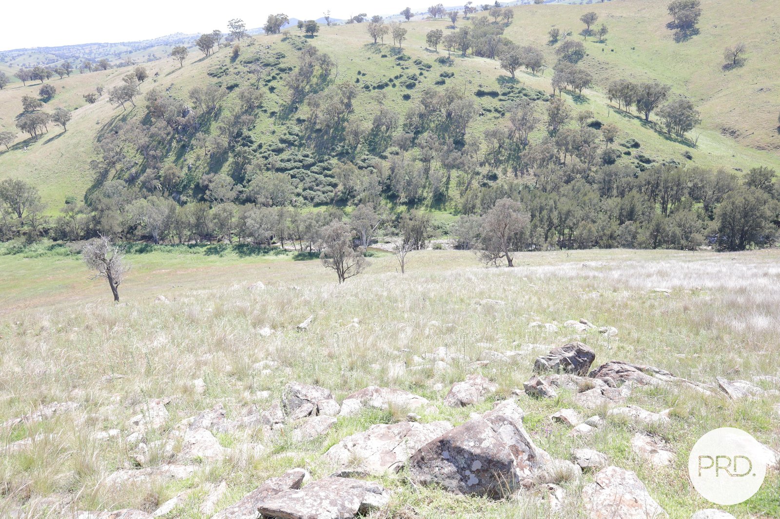 177 Wianamatta Road CANOWINDRA 1