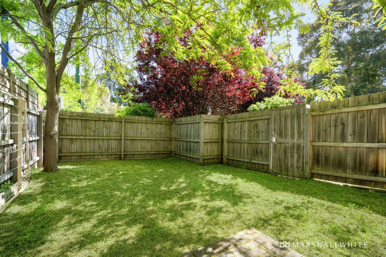 1/770A Whitehorse Road, Mont Albert, VIC