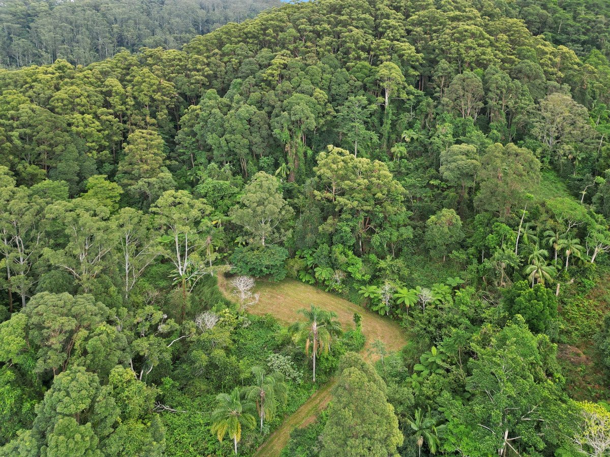 1778 Currumbin Creek Road Currumbin Valley 24