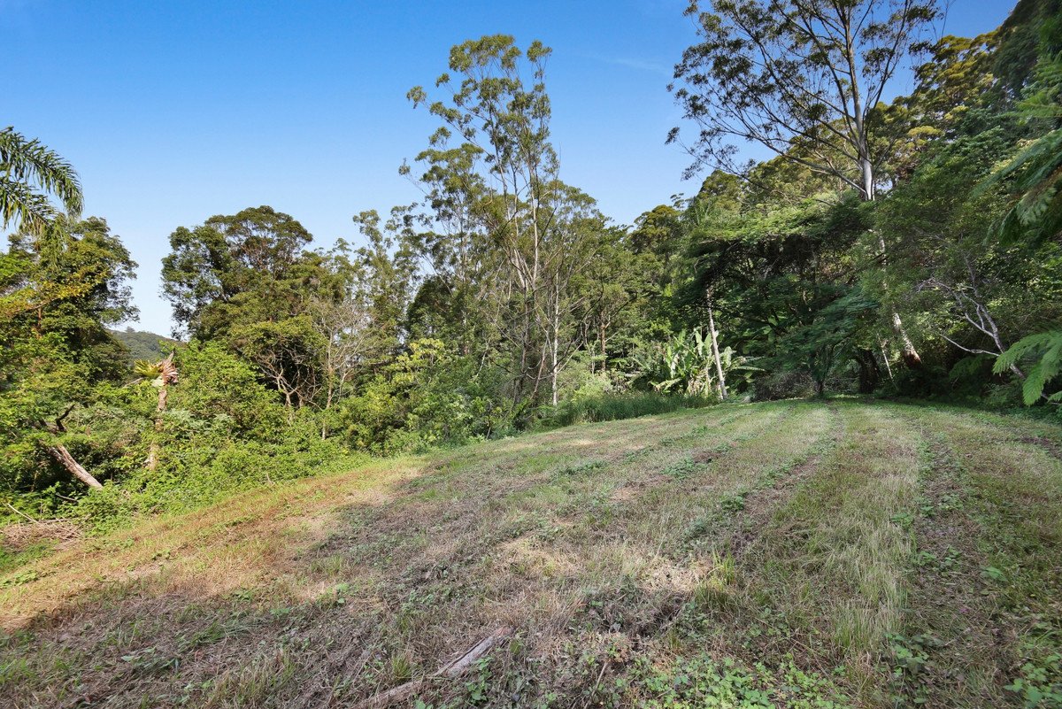 1778 Currumbin Creek Road Currumbin Valley 27