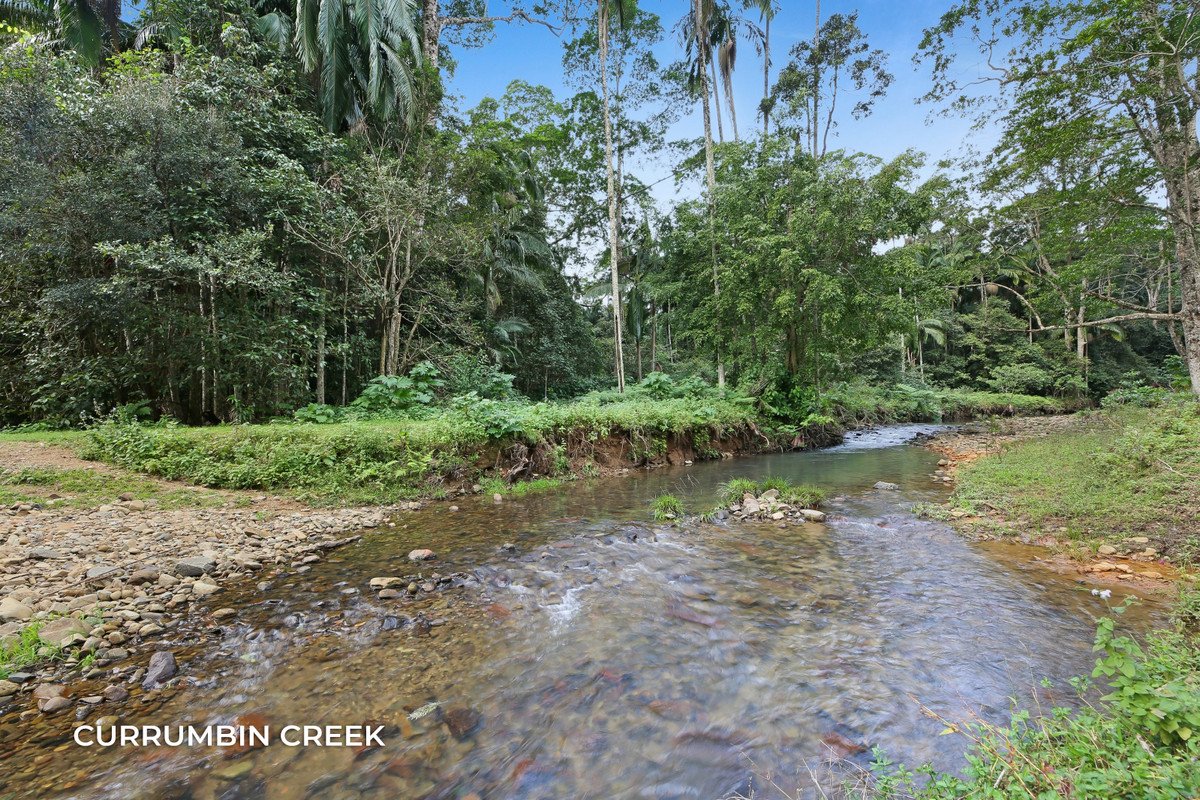 1778 Currumbin Creek Road Currumbin Valley 28