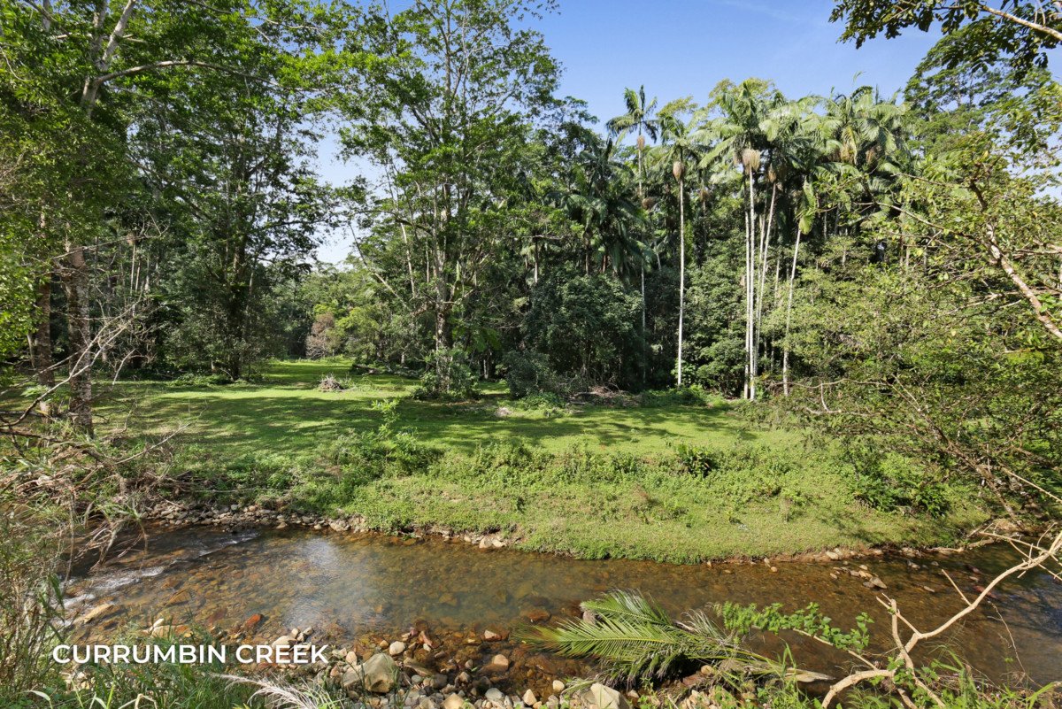 1778 Currumbin Creek Road Currumbin Valley 29