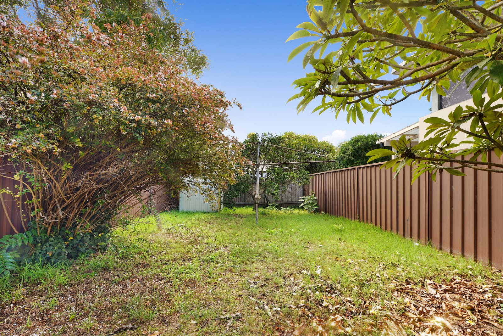178 Paine Street MAROUBRA 12