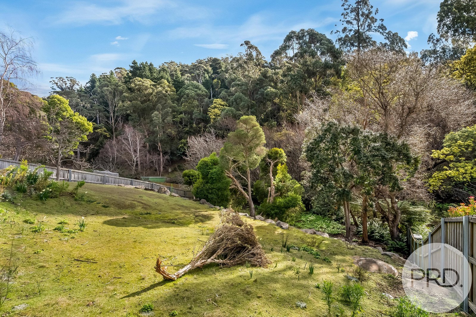 178A Waterworks Road DYNNYRNE 5