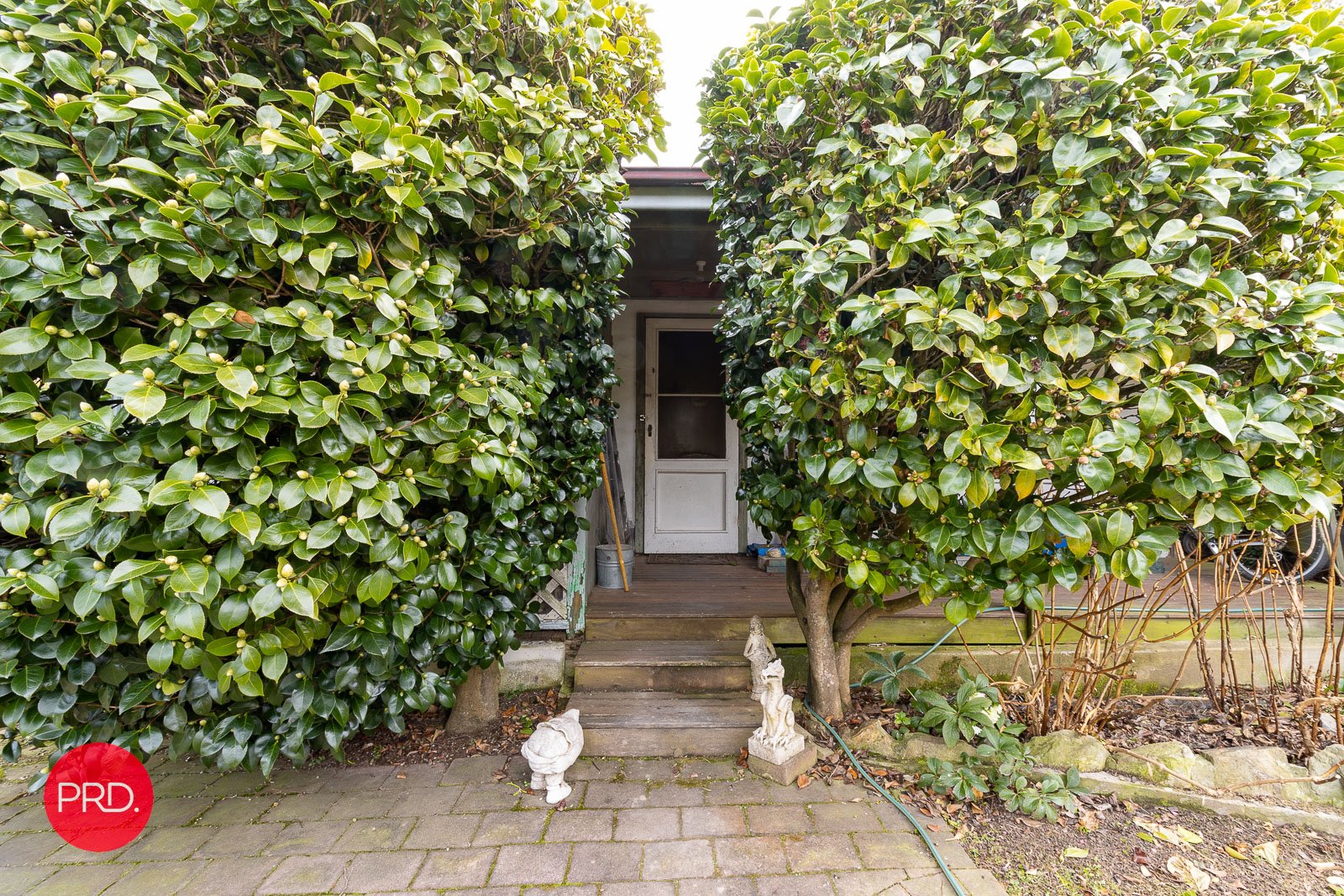 179 Foxlow Street CAPTAINS FLAT 9