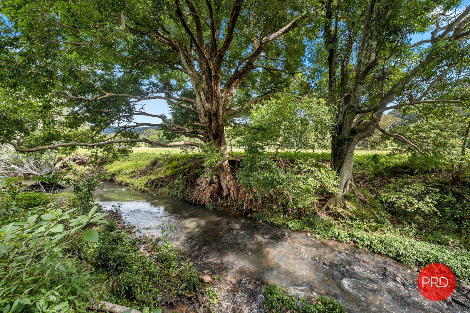 179 South Boambee Road BOAMBEE 2