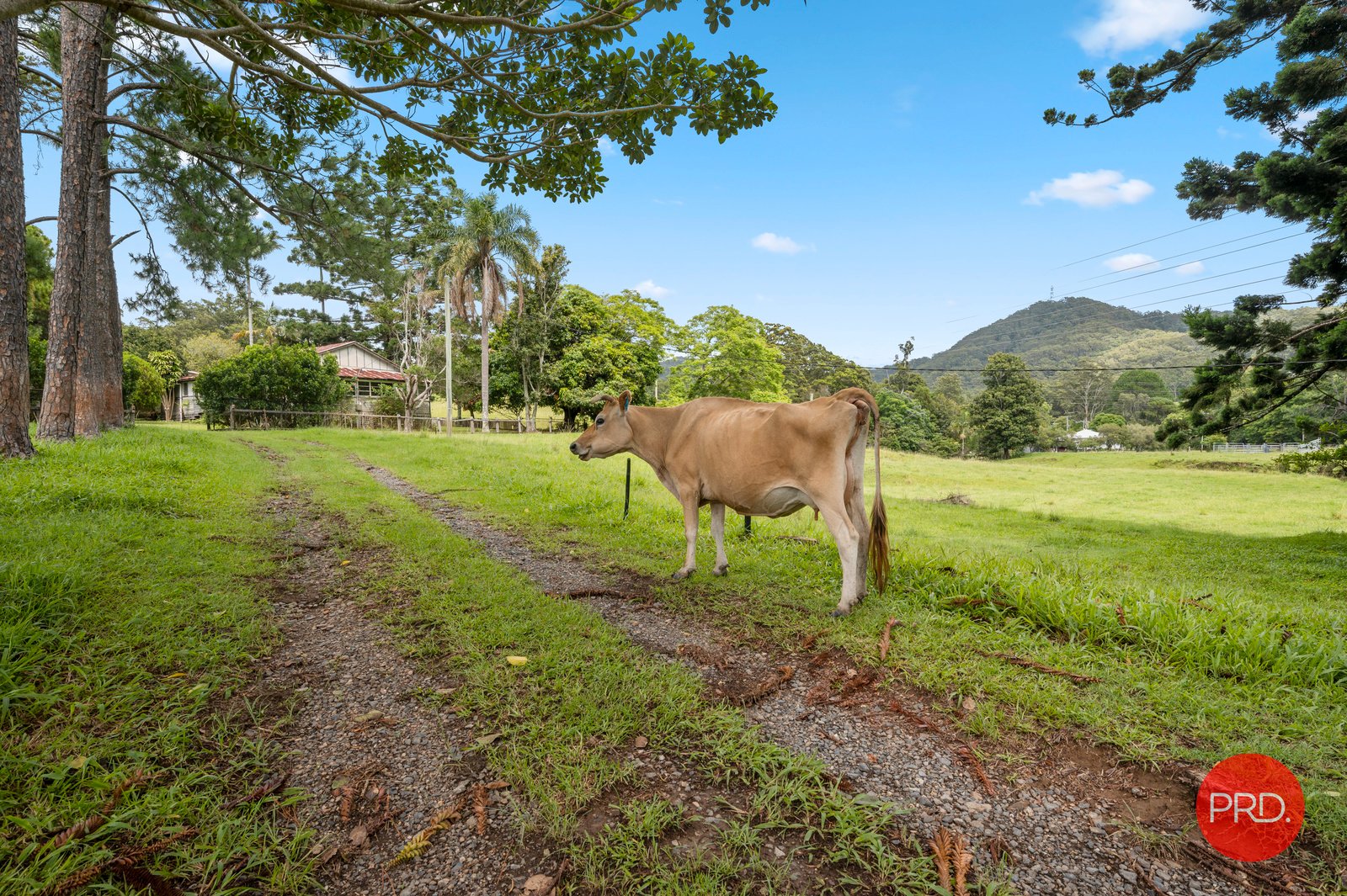 179 South Boambee Road BOAMBEE 4