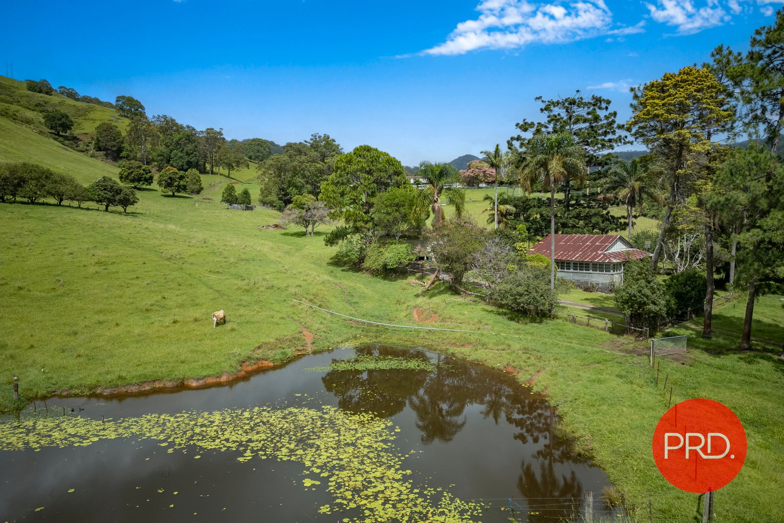 179 South Boambee Road BOAMBEE 12