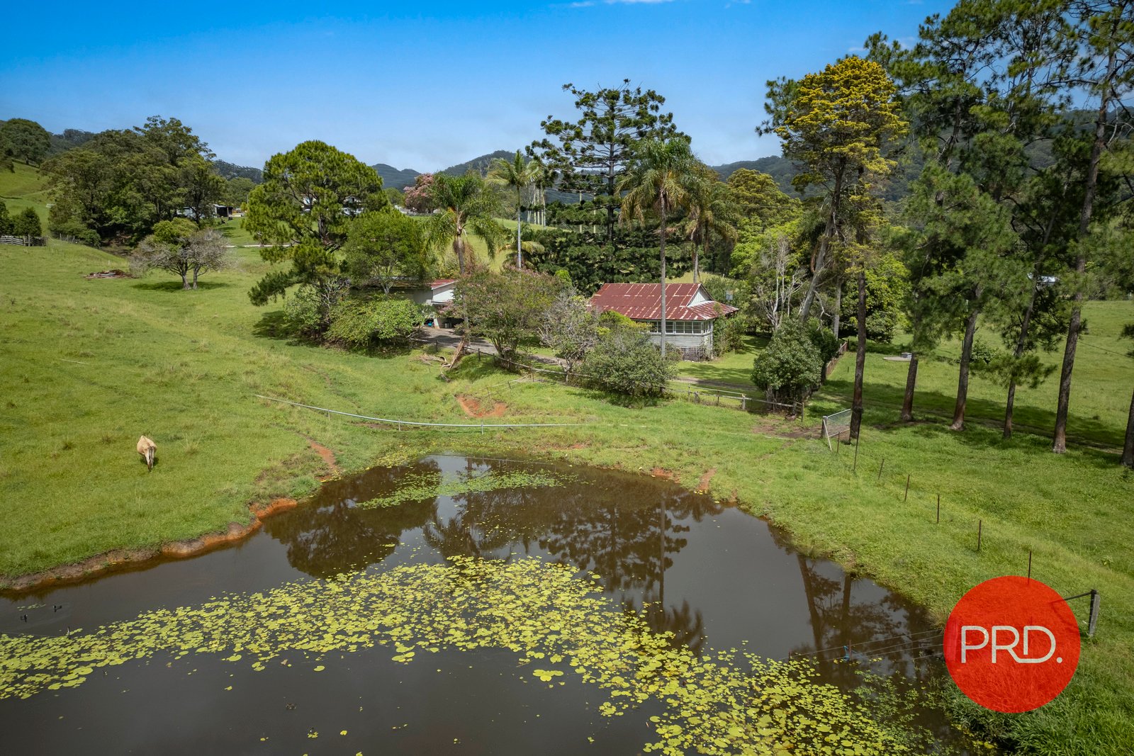 179 South Boambee Road BOAMBEE 18