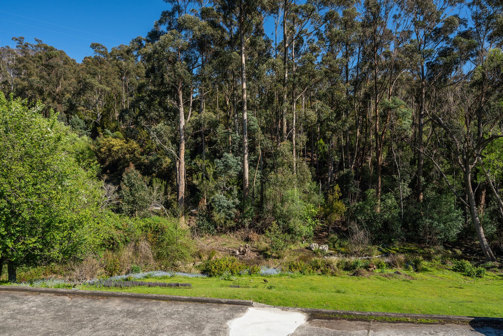 1/79 Strickland Avenue SOUTH HOBART 14