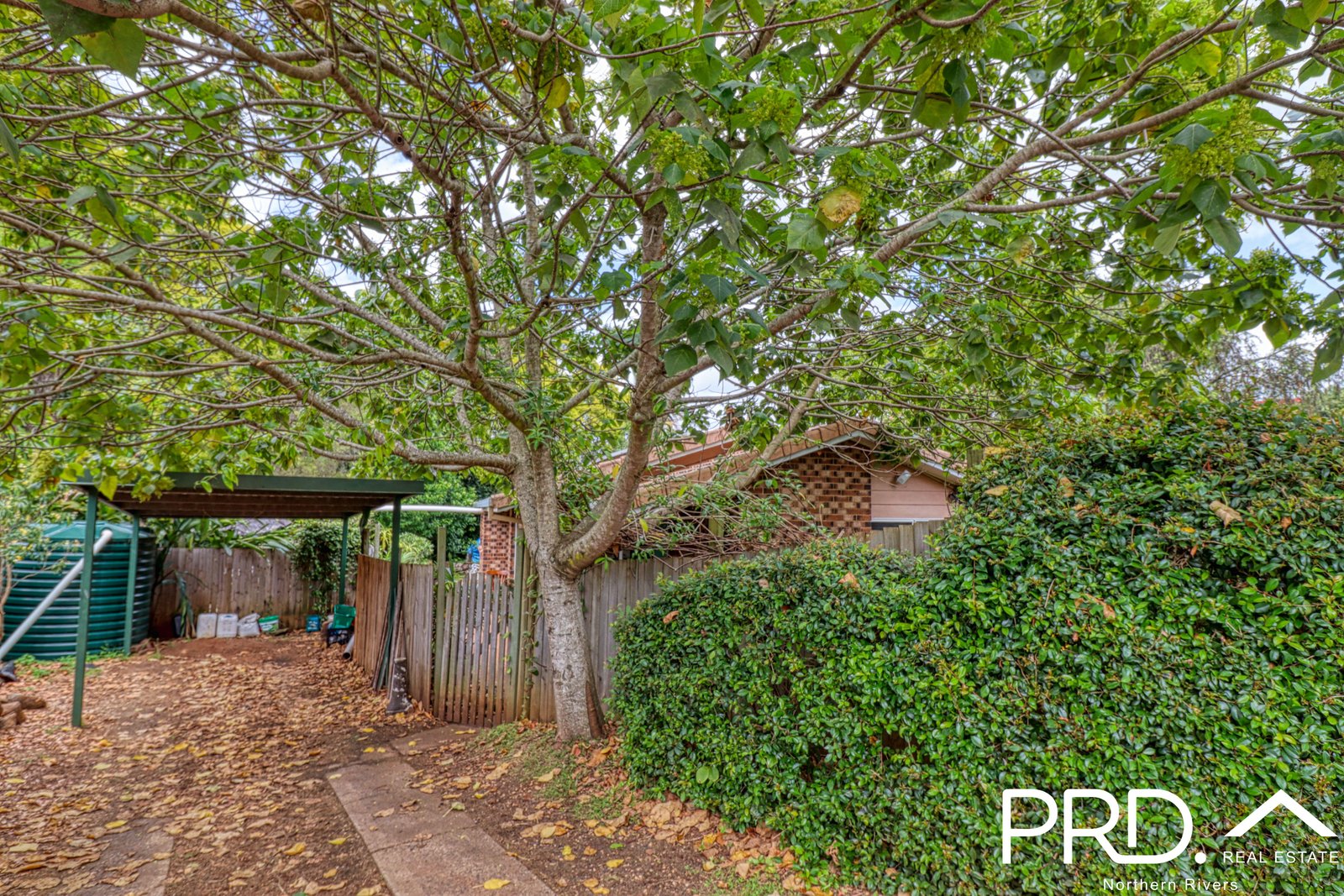 18 Allingham Place GOONELLABAH 14