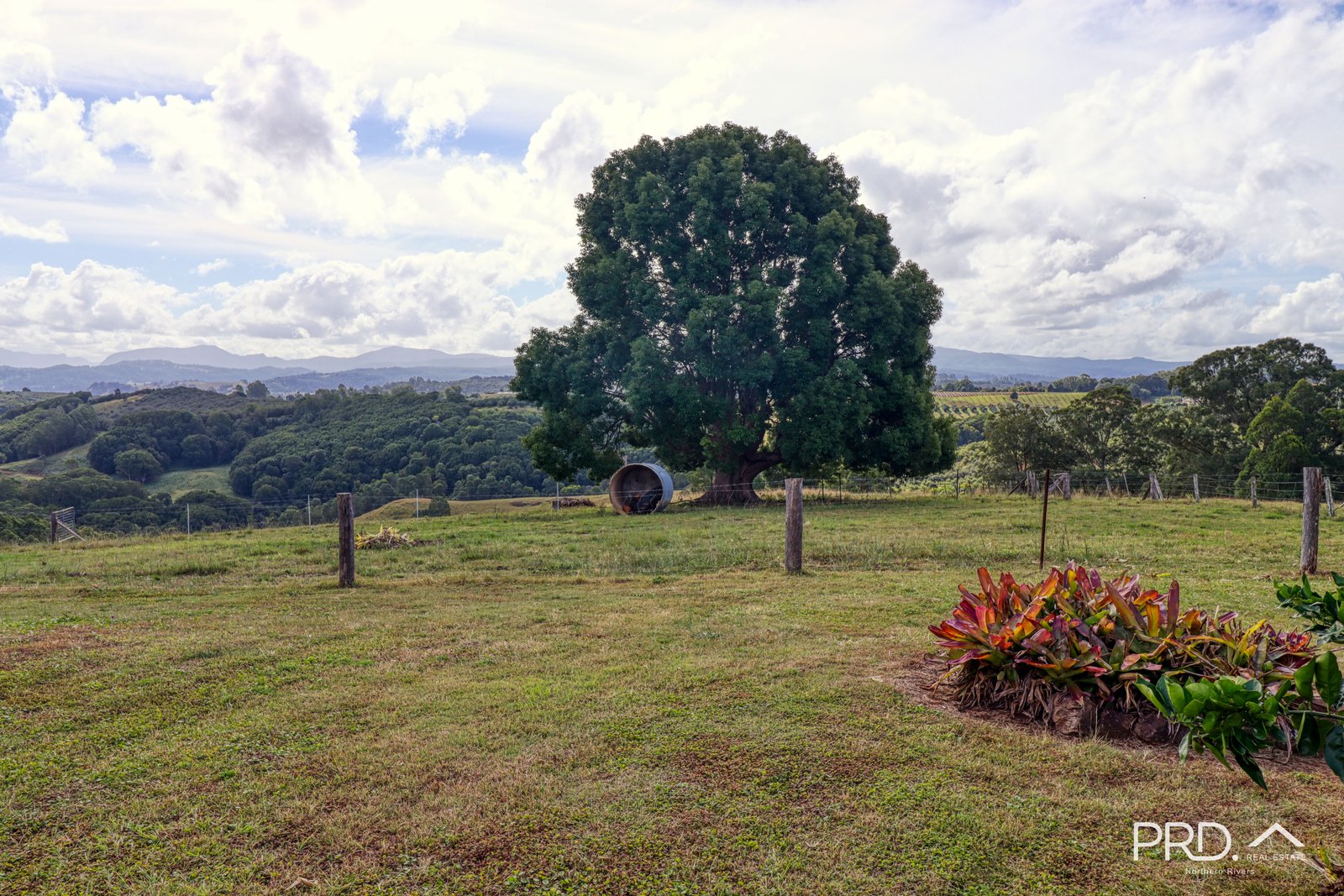 18 Beddoes Road MODANVILLE 16