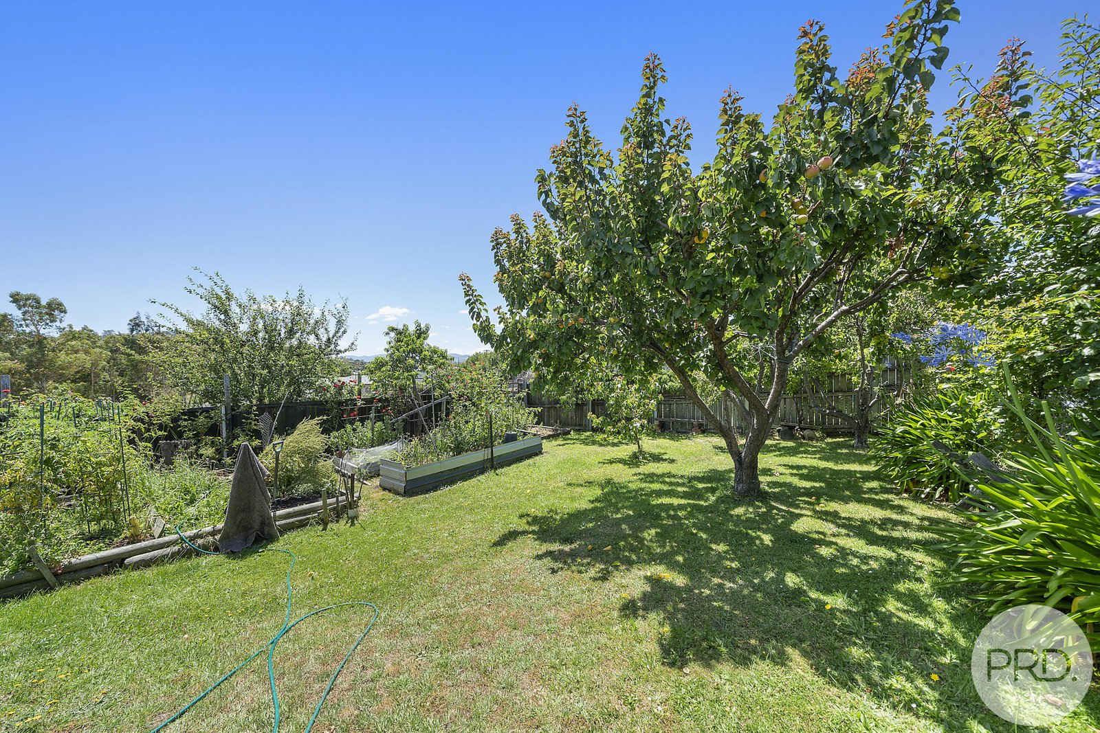 18 Belgrave Street CLAREMONT 9