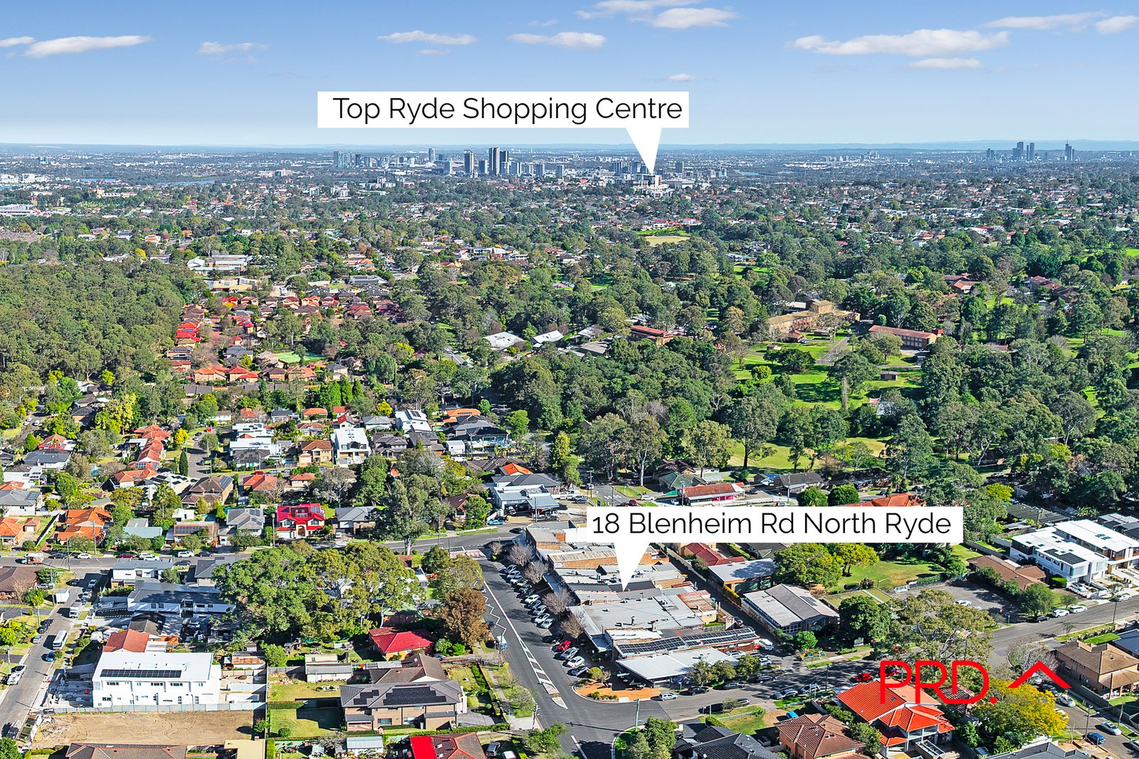 18 Blenheim Road NORTH RYDE 7