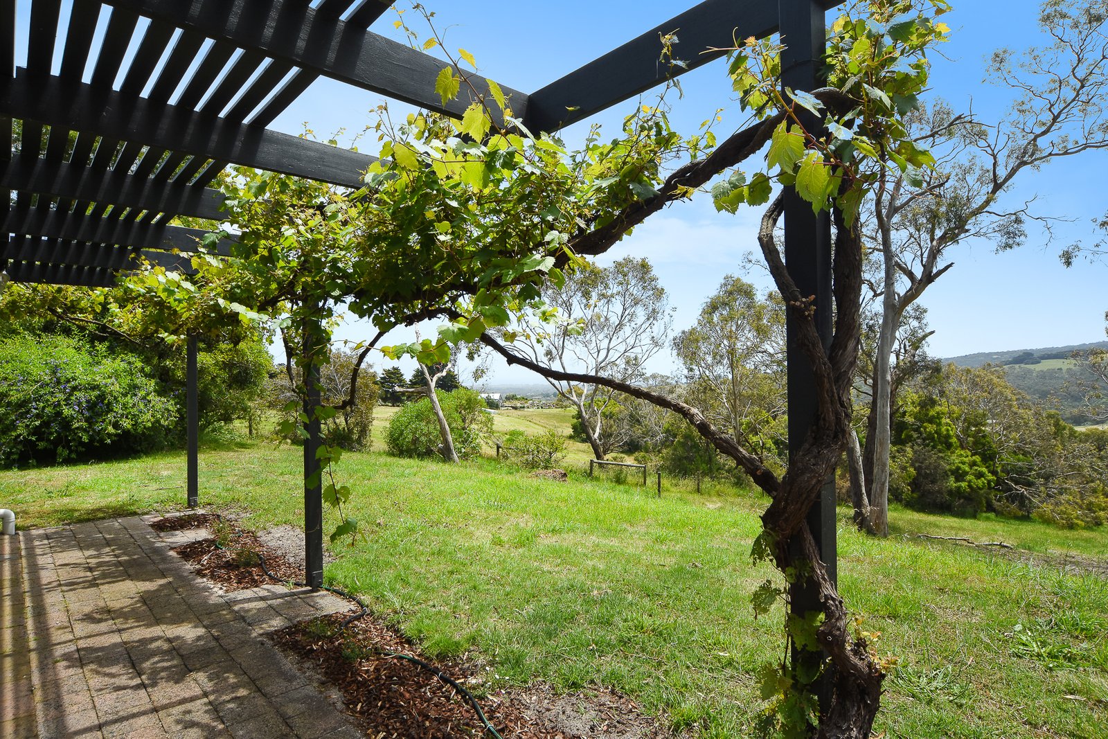 Gallery: 18 Browns Road