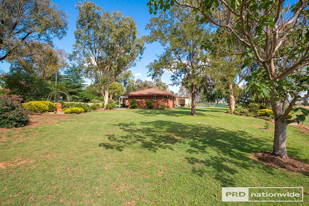 18 Carey Place TAMWORTH 19