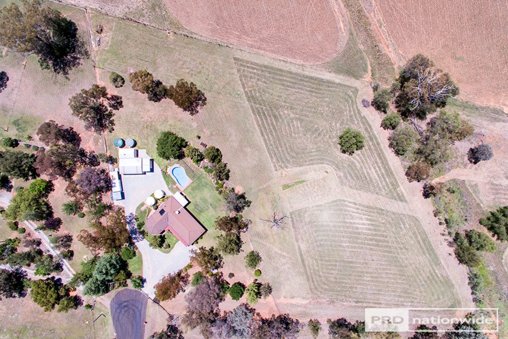 18 Carey Place TAMWORTH 23