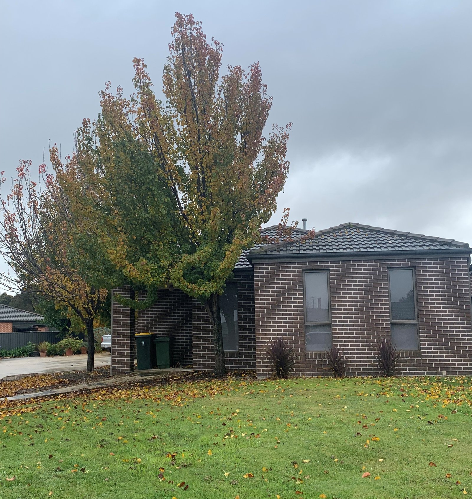 1/8 Carmichael Court, SEBASTOPOL VIC 3356 Buxton 2022