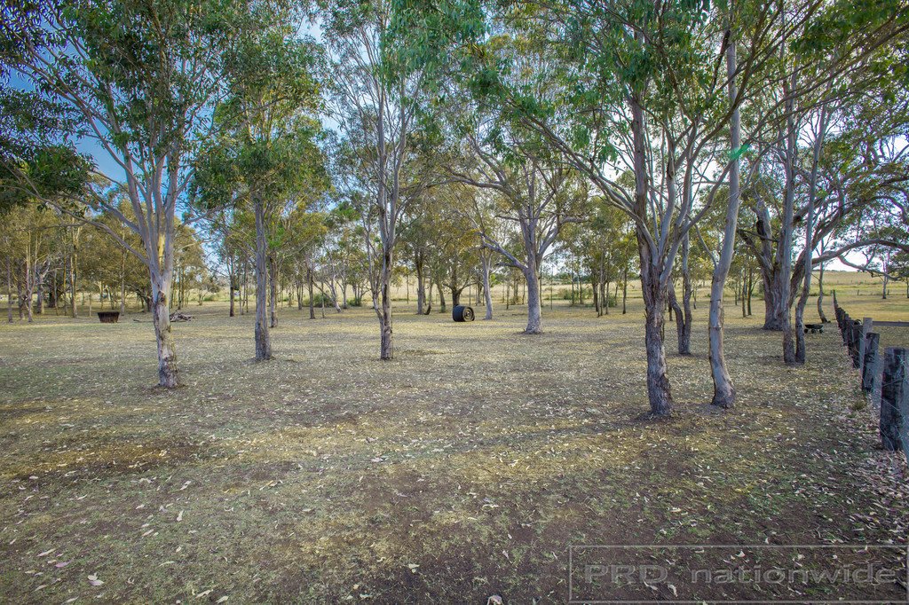 18 Carnival Close WINDELLA 25