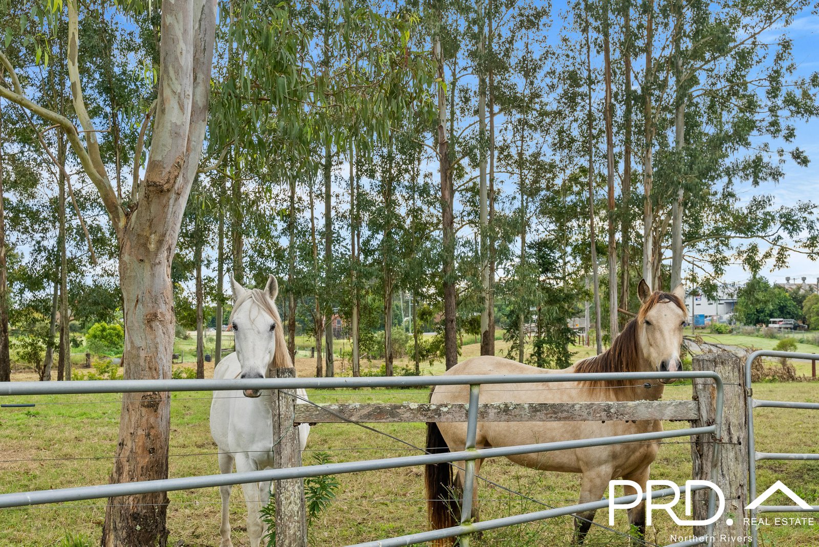 18 Chauvel Street KYOGLE 4