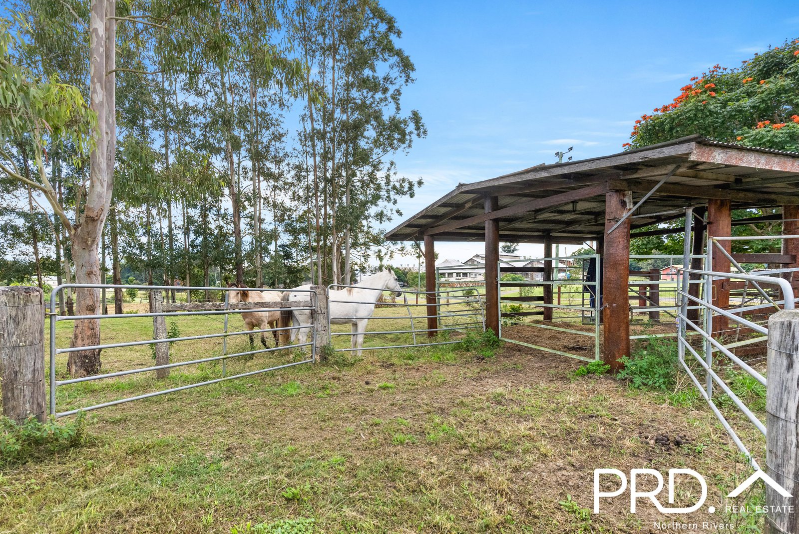 18 Chauvel Street KYOGLE 5