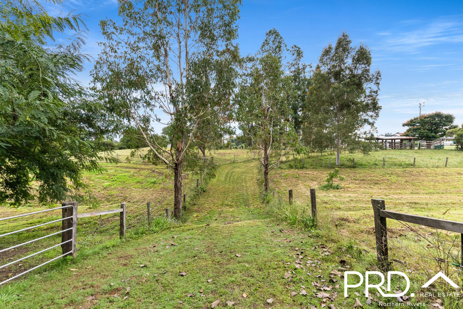 18 Chauvel Street KYOGLE 20
