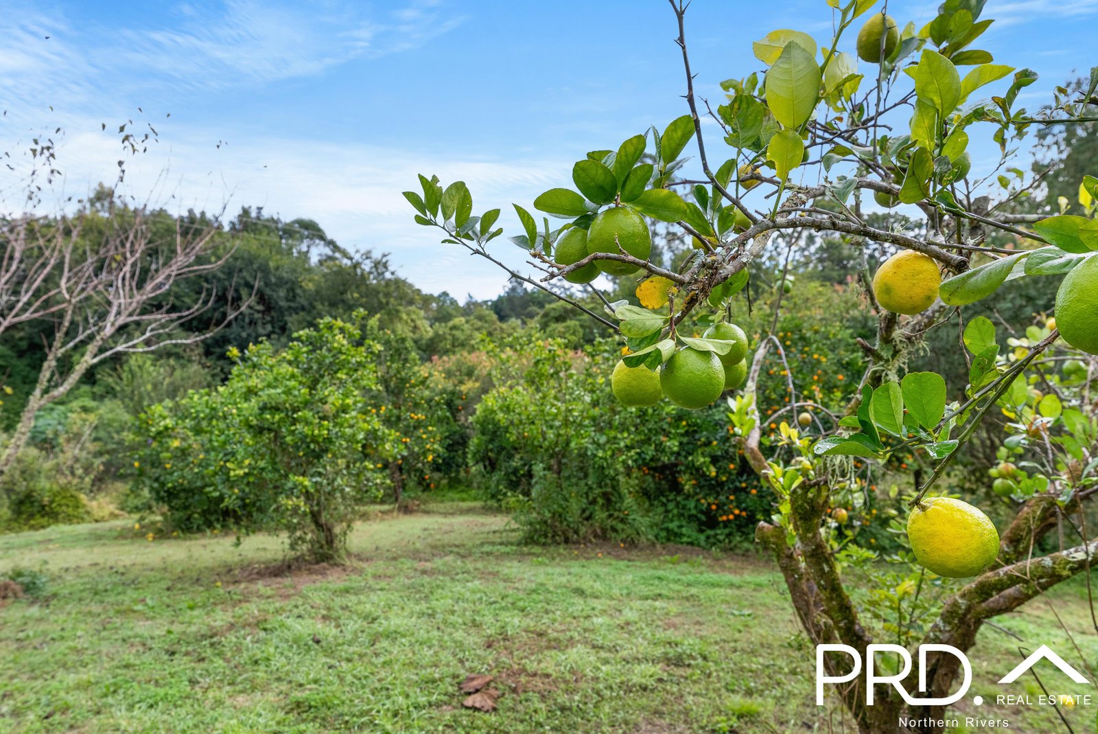 18 Chauvel Street KYOGLE 21